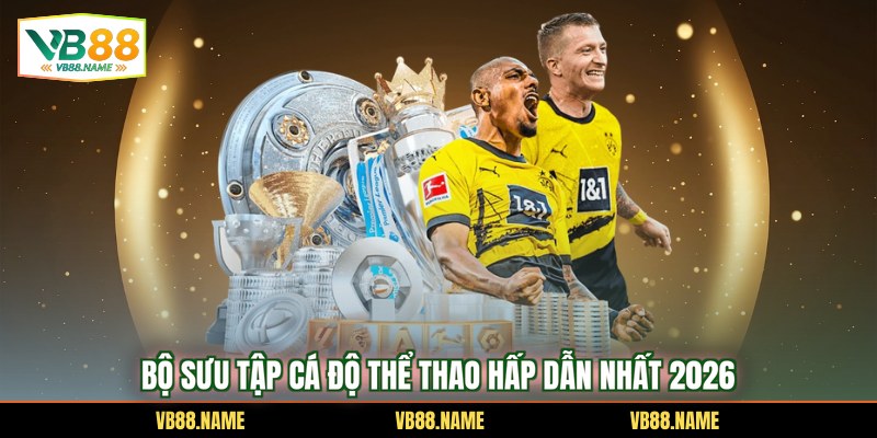 Bộ sưu tập cá độ thể thao hấp dẫn nhất 2026