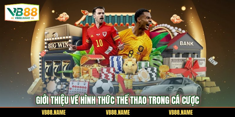 Giới thiệu về hình thức thể thao trong cá cược