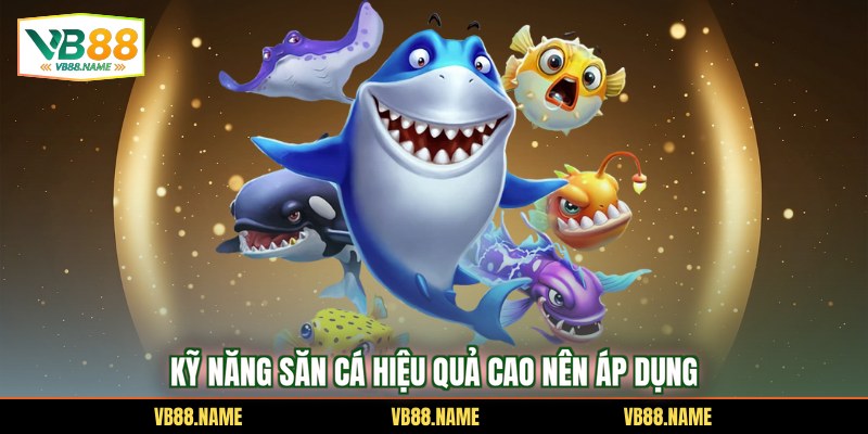 Kỹ năng săn cá hiệu quả cao nên áp dụng
